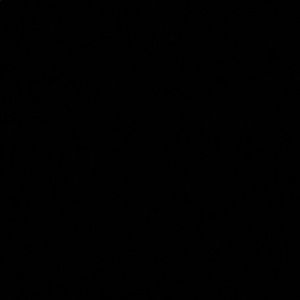 Meet your Posher, Nermin